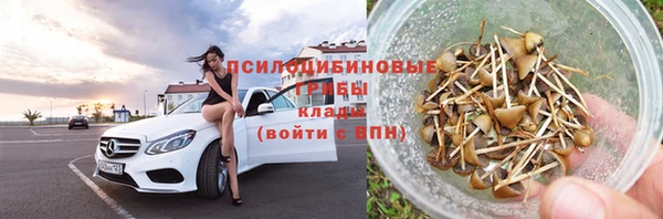 трава Верея