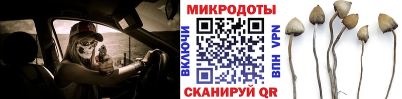 Псилоцибиновые грибы Cubensis  Раменское 